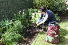 Protect plants with mulch