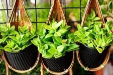 Growing Culinary Herbs In An Urban Environment