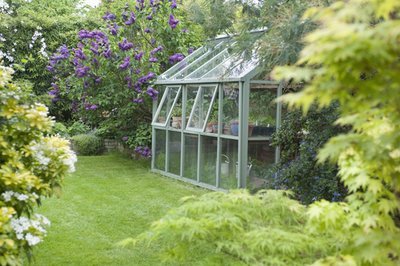 5 tips to grow a greenhouse garden (Gardening)