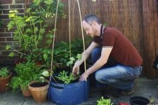 Fruit and veg on the patio