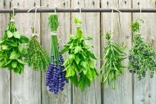 Grow Herbs for the Kitchen