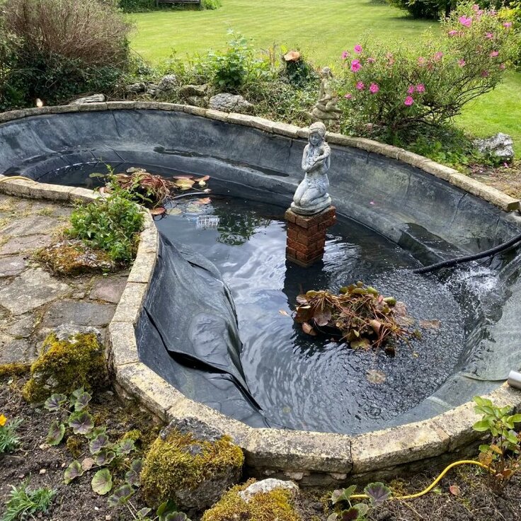 The Benefits of Getting your Pond Cleaned
