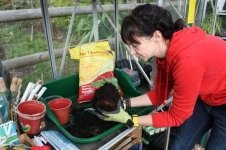 Easy root cuttings