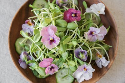 How to preserve edible flowers the right way? (Plants, Trees, & Flowers)