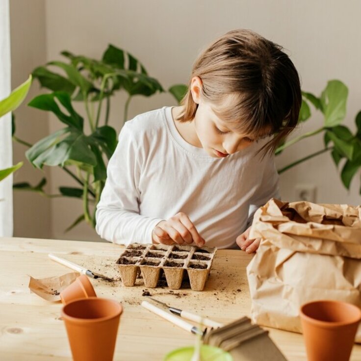 How Gardening Can Be Incorporated into School Curriculums