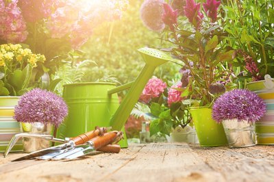 How To Clean Up Your Garden This April And  Be Ready For A Sizzling Summer (Gardening)