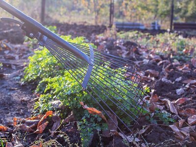 How to Clean Your Garden? (Gardening)