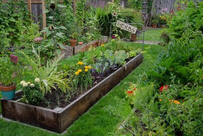 7 reasons why you should grow plants in raised beds (Gardening)