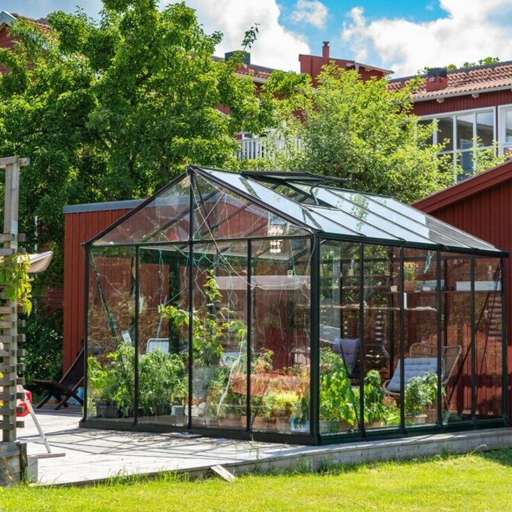 Greenhouse Gardening 101: Essential Tips For Beginners