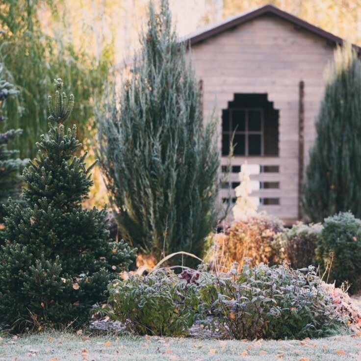 How to Create a Stunning Winter Garden in February (Gardening)