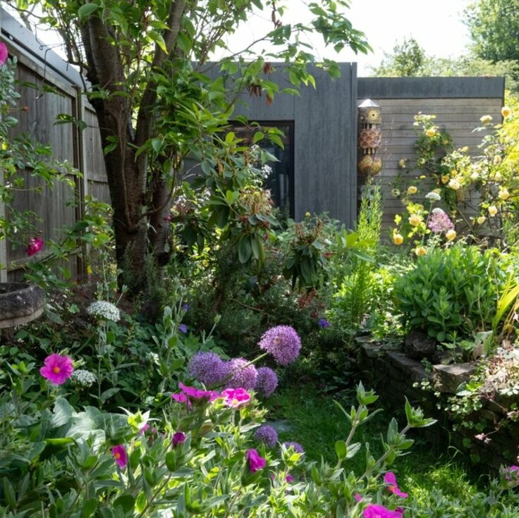 Sustainable Green: Tips for an Eco-Friendly Summer Garden (Gardening)