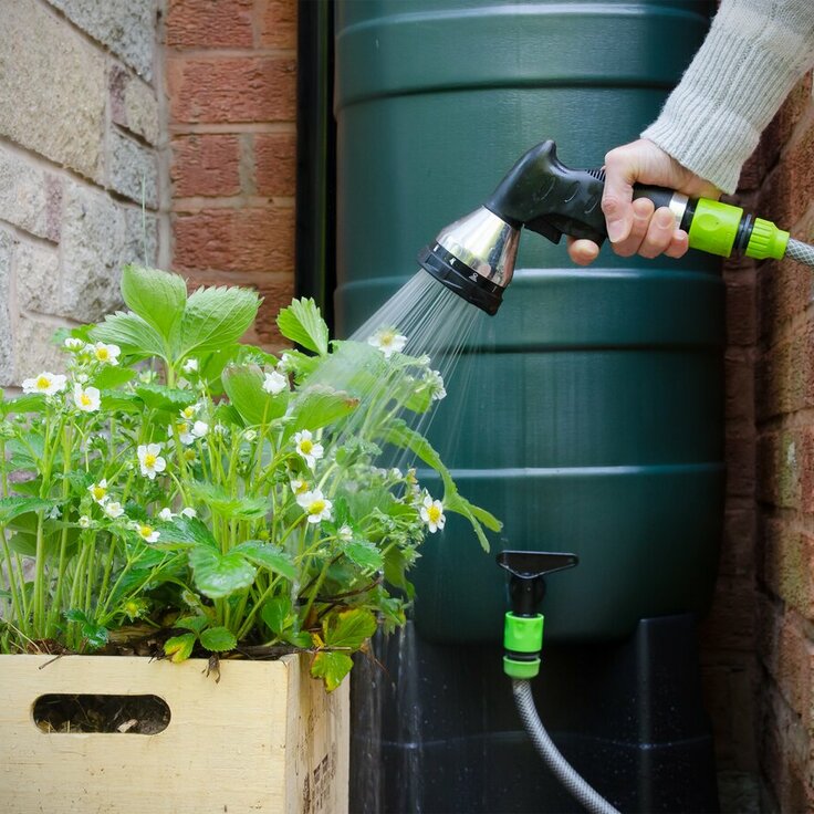 Summer Watering Tips: Keep Your Garden Healthy and Green (Plants, Trees, & Flowers)