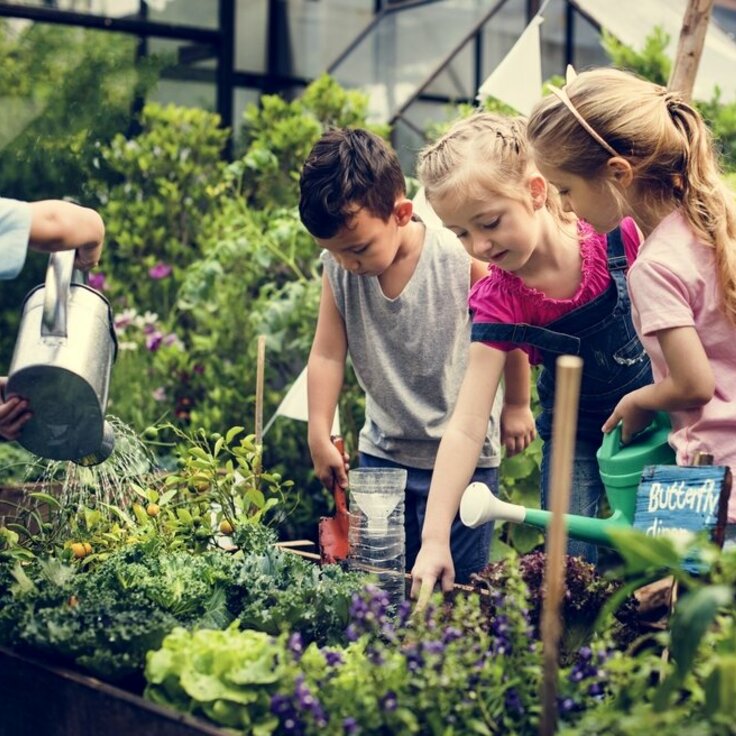 What garden fun activities can be brought to life?